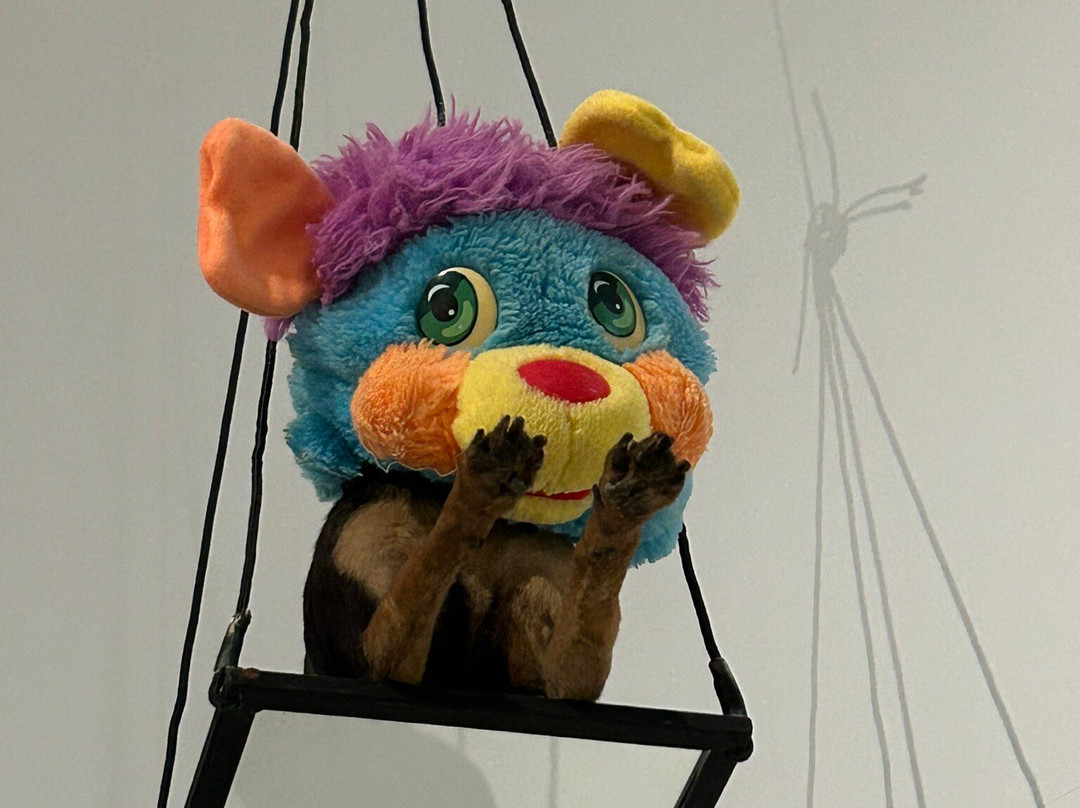 Fonds Hélène & Édouard Leclerc pour la Culture-Landerneau必去景点