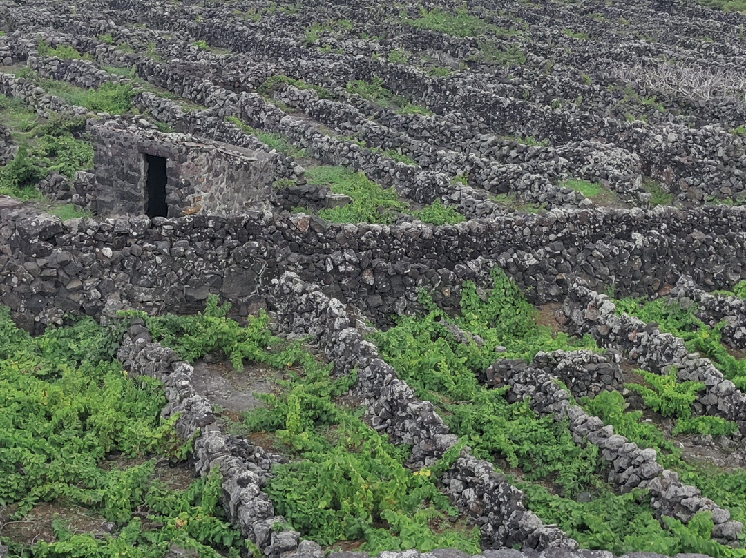 Tripix Azores-Pico必去景点