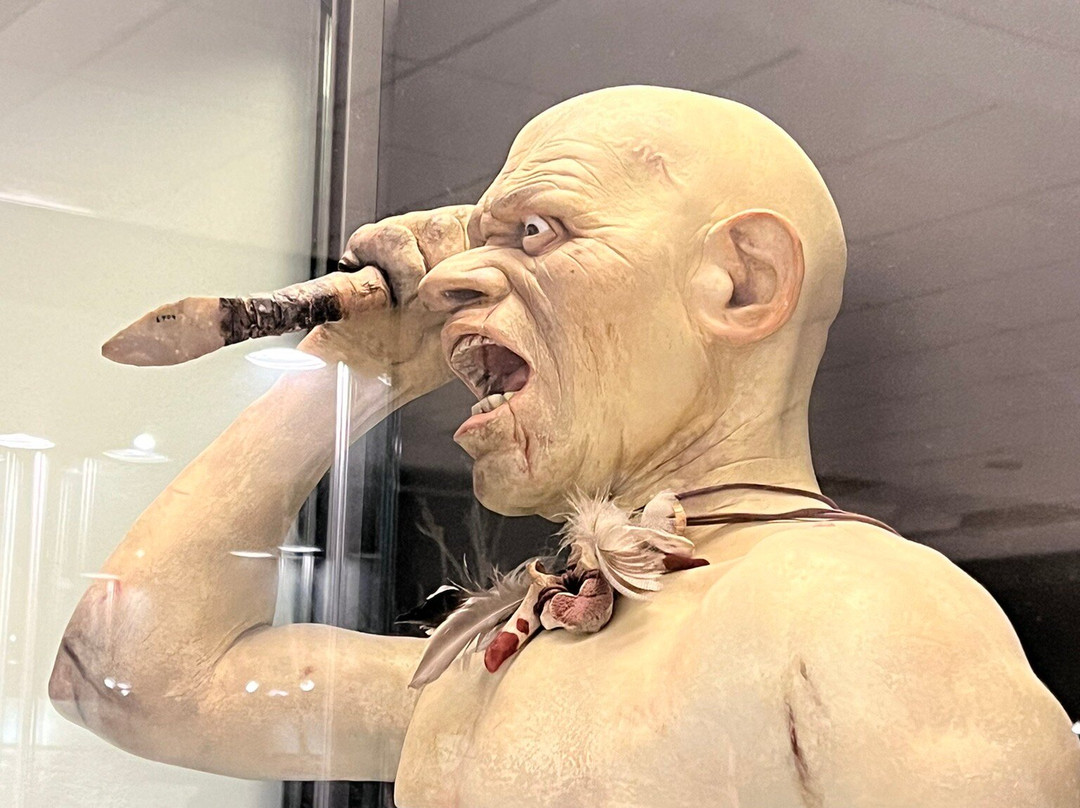 Museo della Preistoria Luigi Donini-萨韦纳河畔圣拉扎罗必去景点