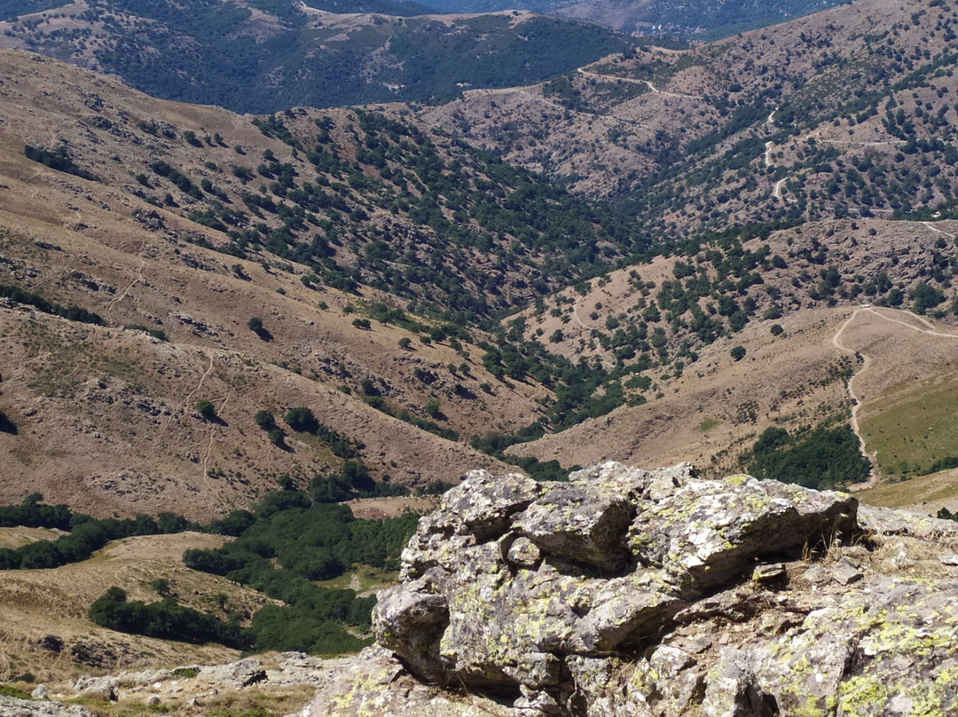 Punta La Marmora-Desulo必去景点