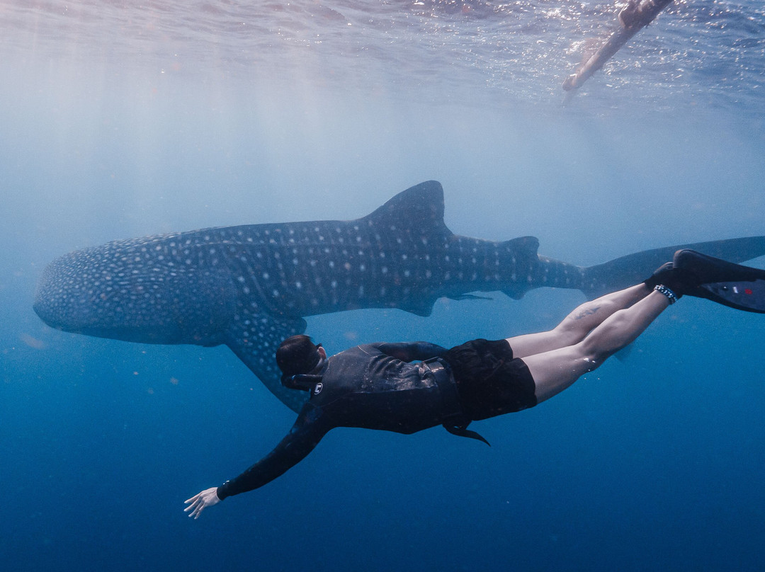 Sumbawa Holiday Tour-Sumbawa Besar必去景点