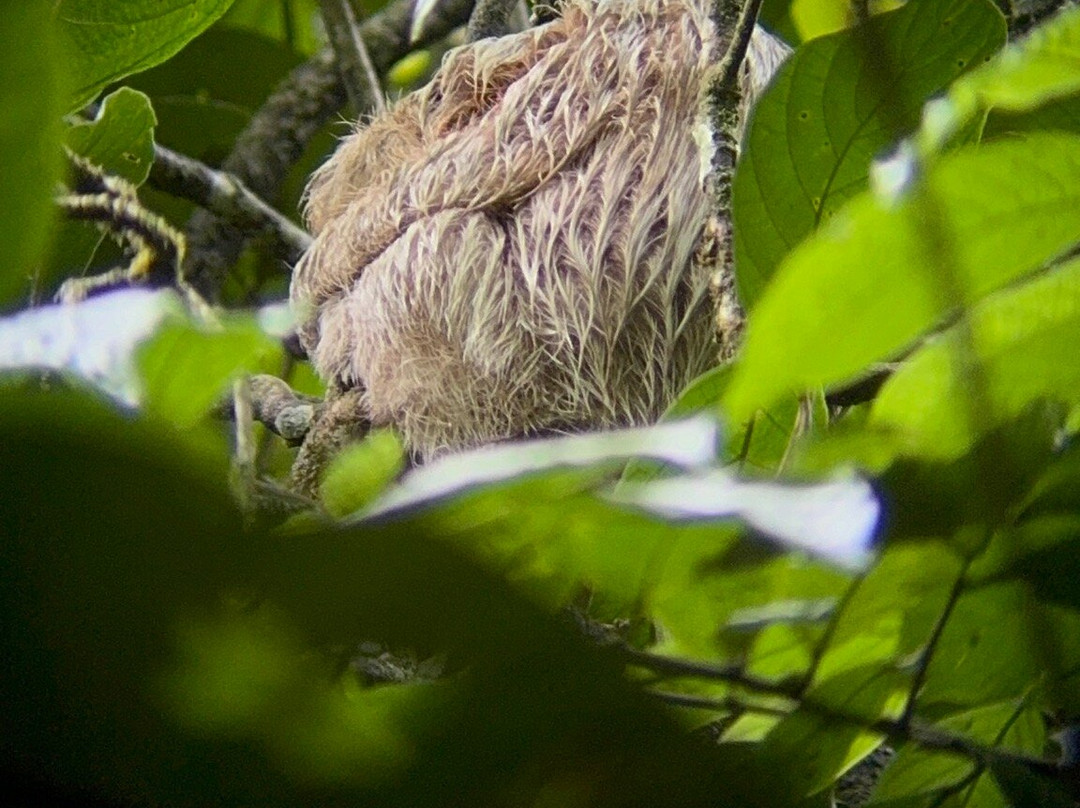 Green Go Costa Rica-利比里亚必去景点