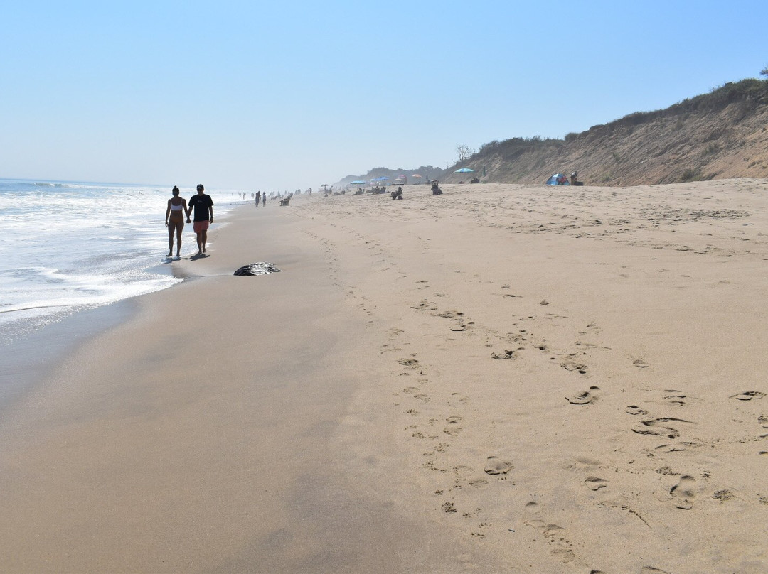 Ship's Knees Inn主图