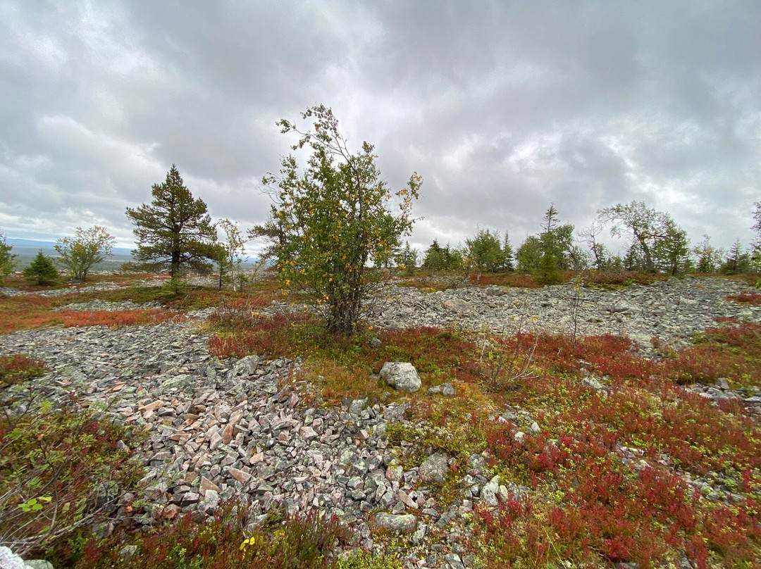 Pyha-Luosto National Park-Pyhatunturi必去景点