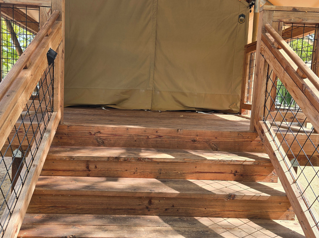 Clear Lake-克利尔湖必去景点