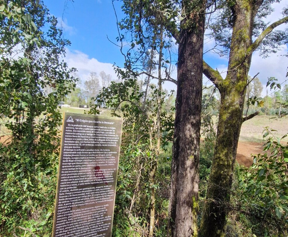 Turismo Pitrufquén-Pitrufquen必去景点