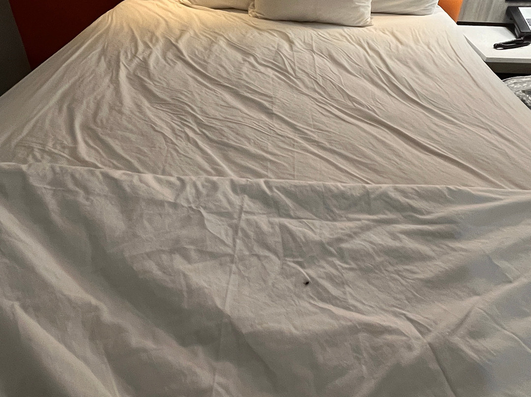 AmericInn by Wyndham Inver Grove Heights Minneapolis主图