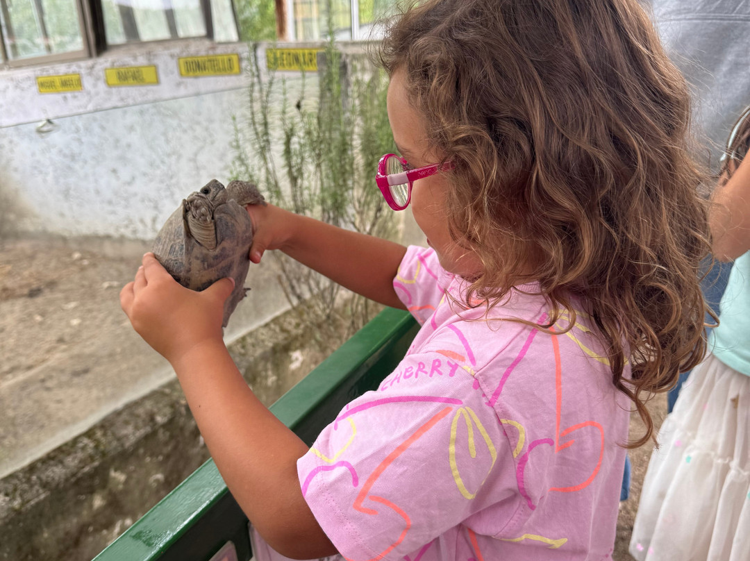 Quinta Pedagógica Quinta das Manas-吉马良斯必去景点