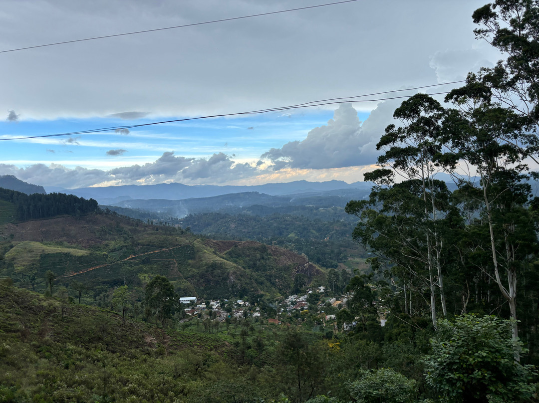 The Ella Odyssey Train