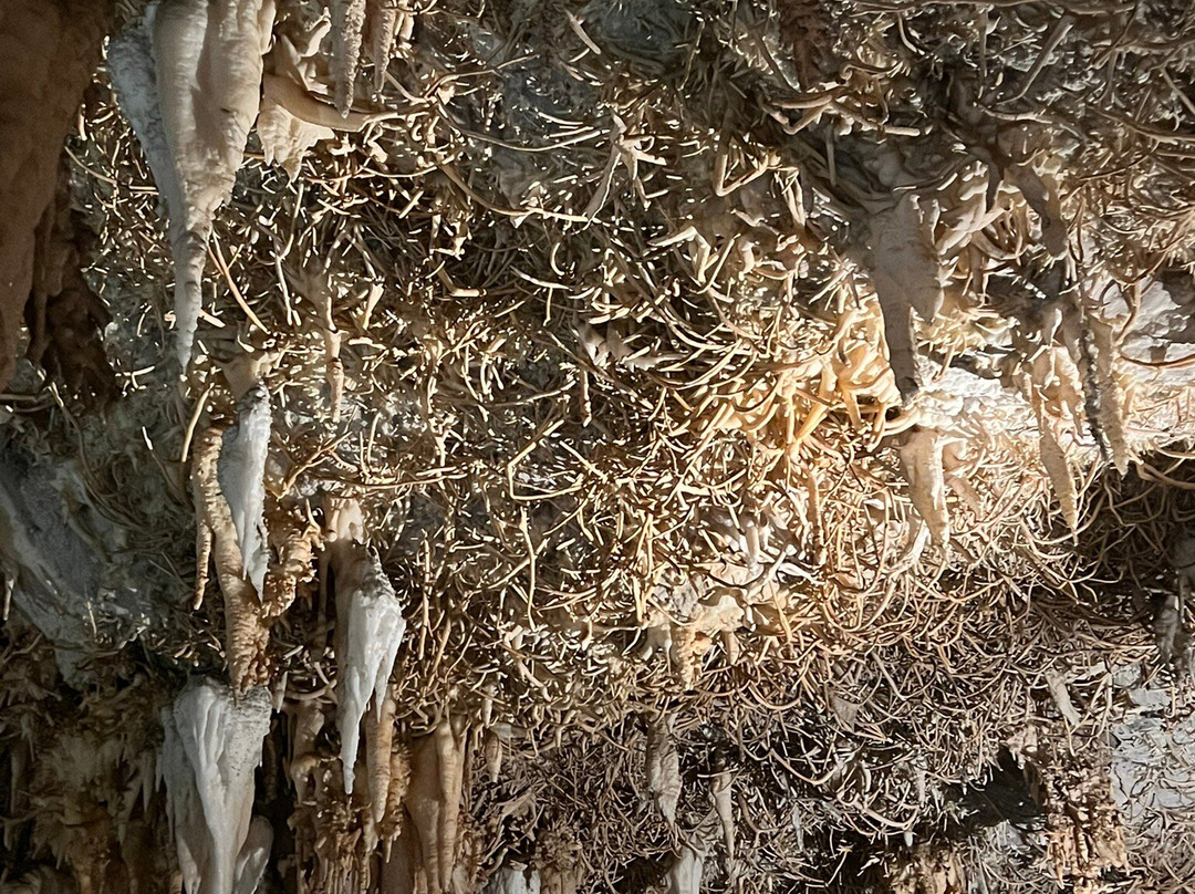 Cueva De Pozalagua-Valle de Carranza必去景点
