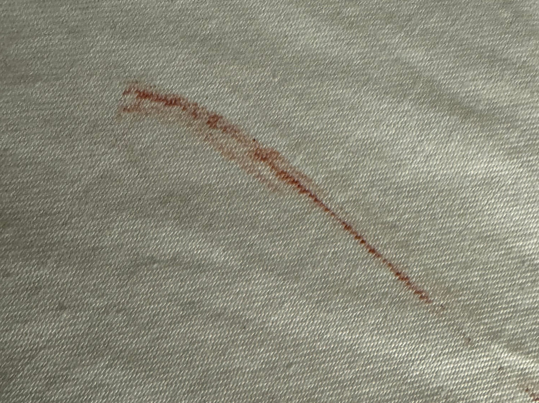 Best Western Bridgeview Hotel主图