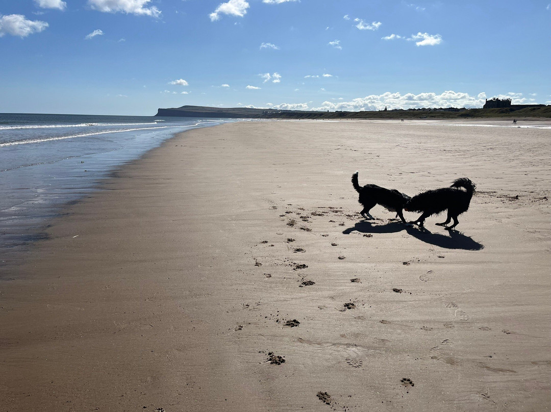 Marske Sands Beach-Marske-by-the-Sea必去景点