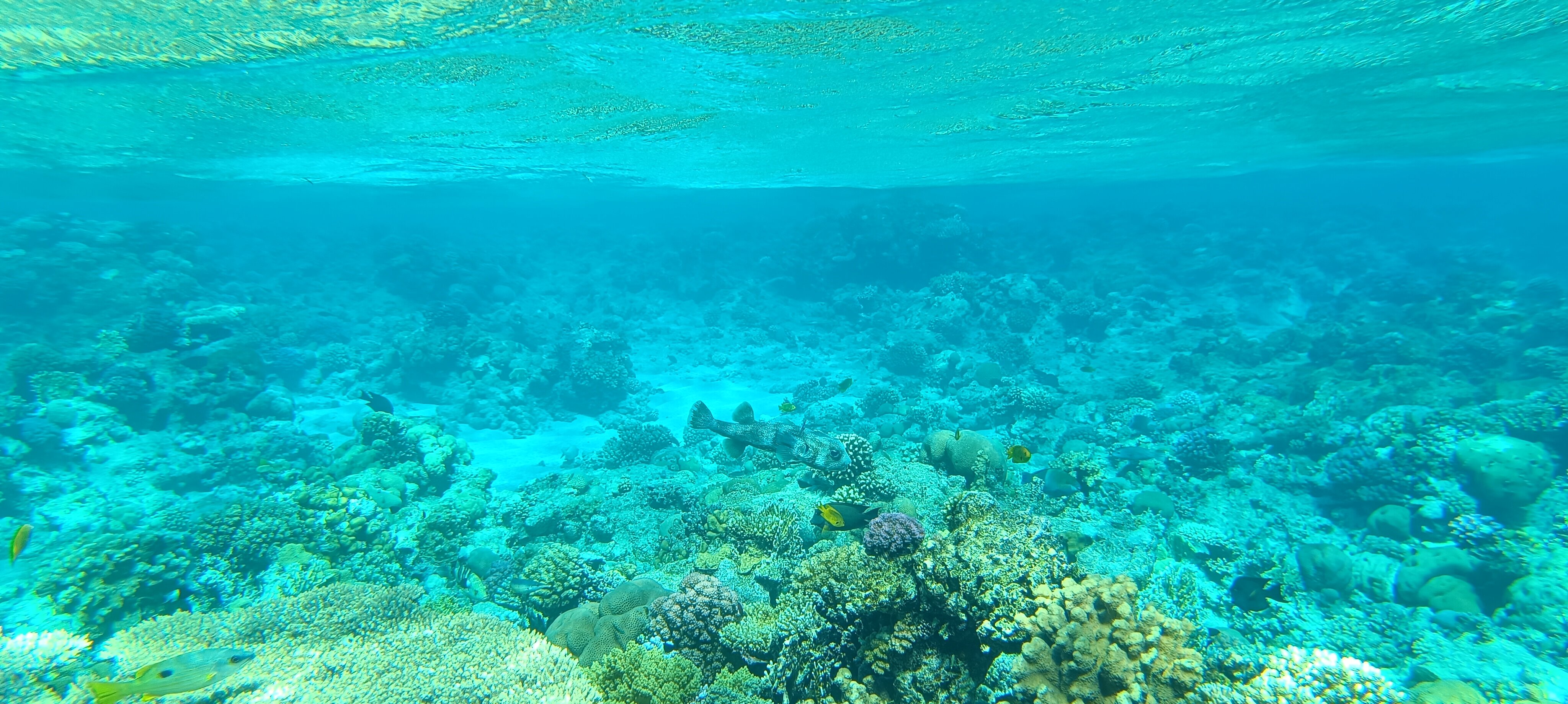 马卡迪绿洲伊波罗度假酒店-泳池