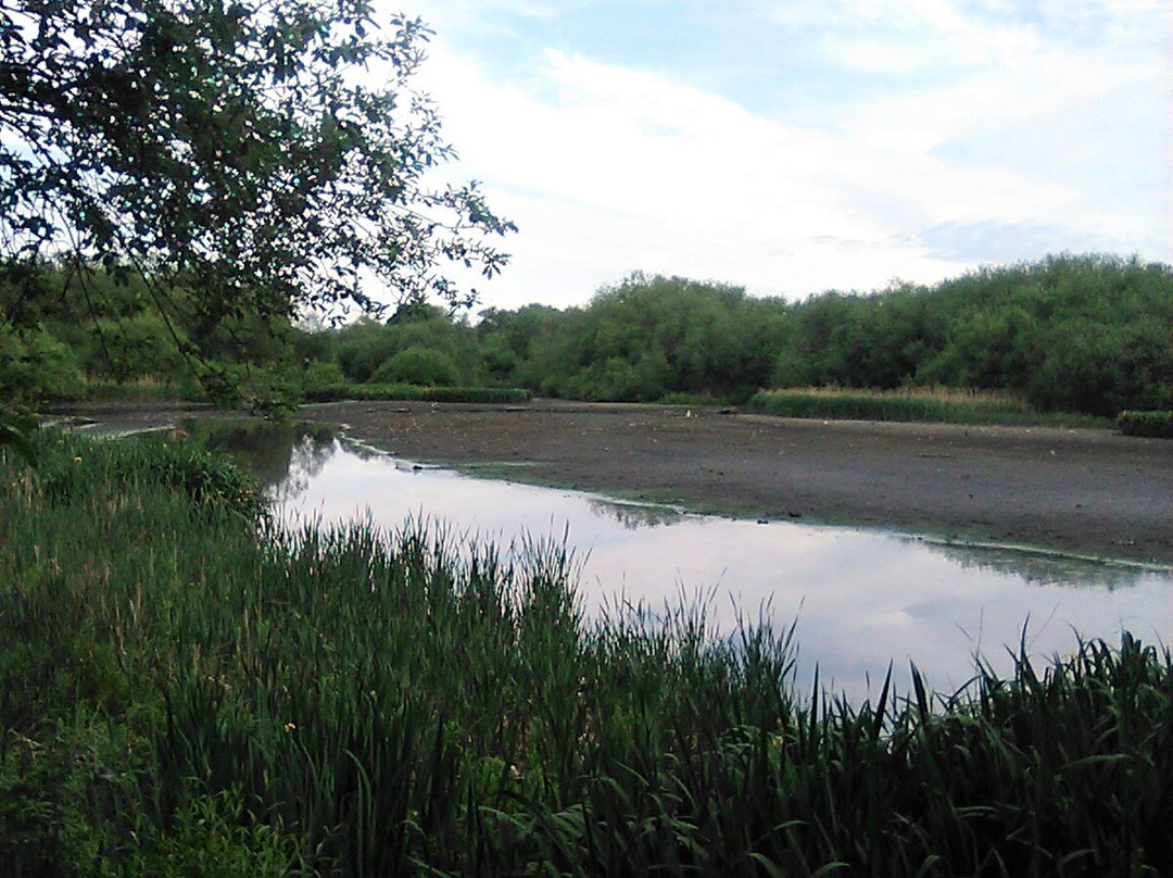 Brent Reservoir (Welsh Harp) Canalside-伦敦必去景点
