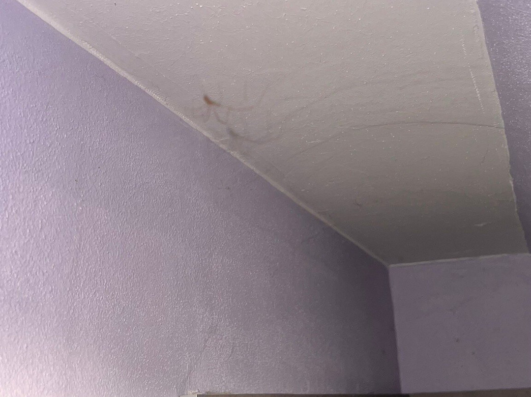 Hotel Gaestehaus Hochmann主图