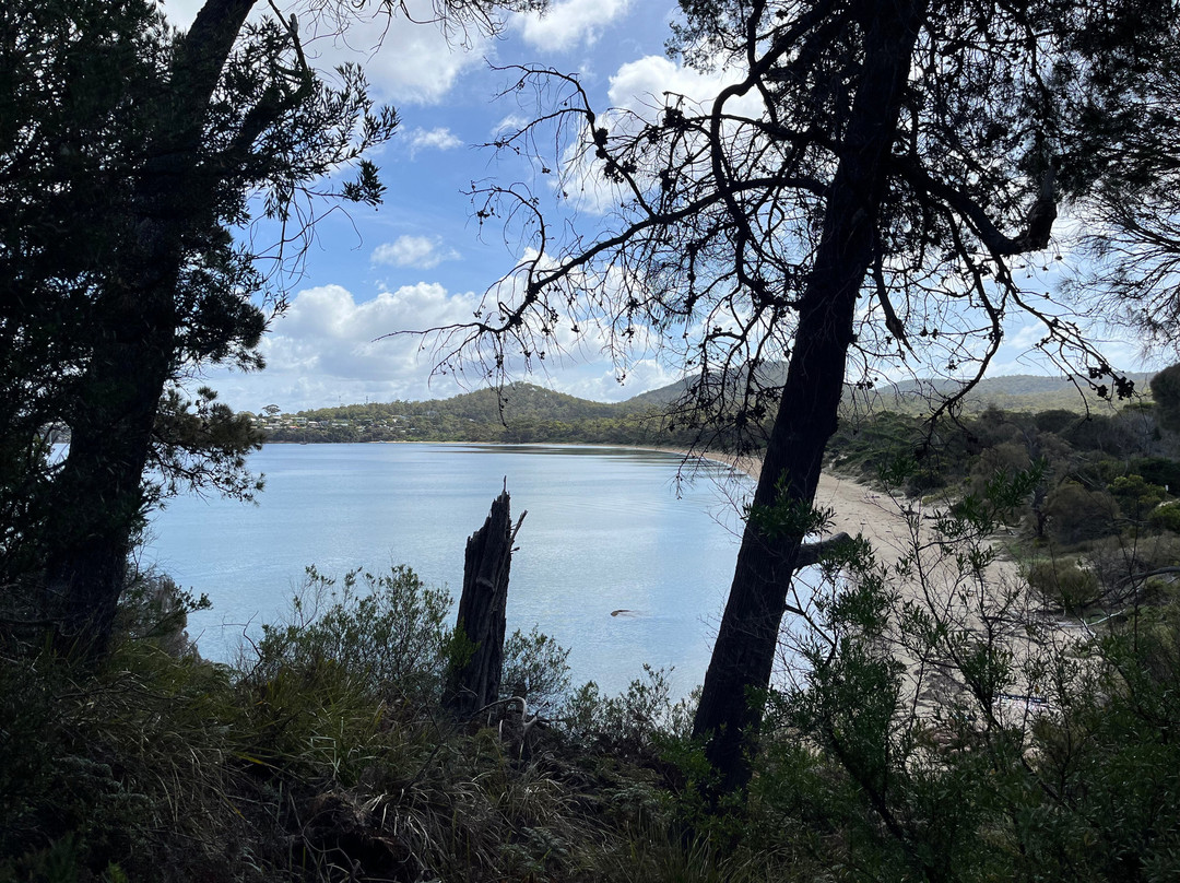 Richardsons Beach-科尔斯湾必去景点