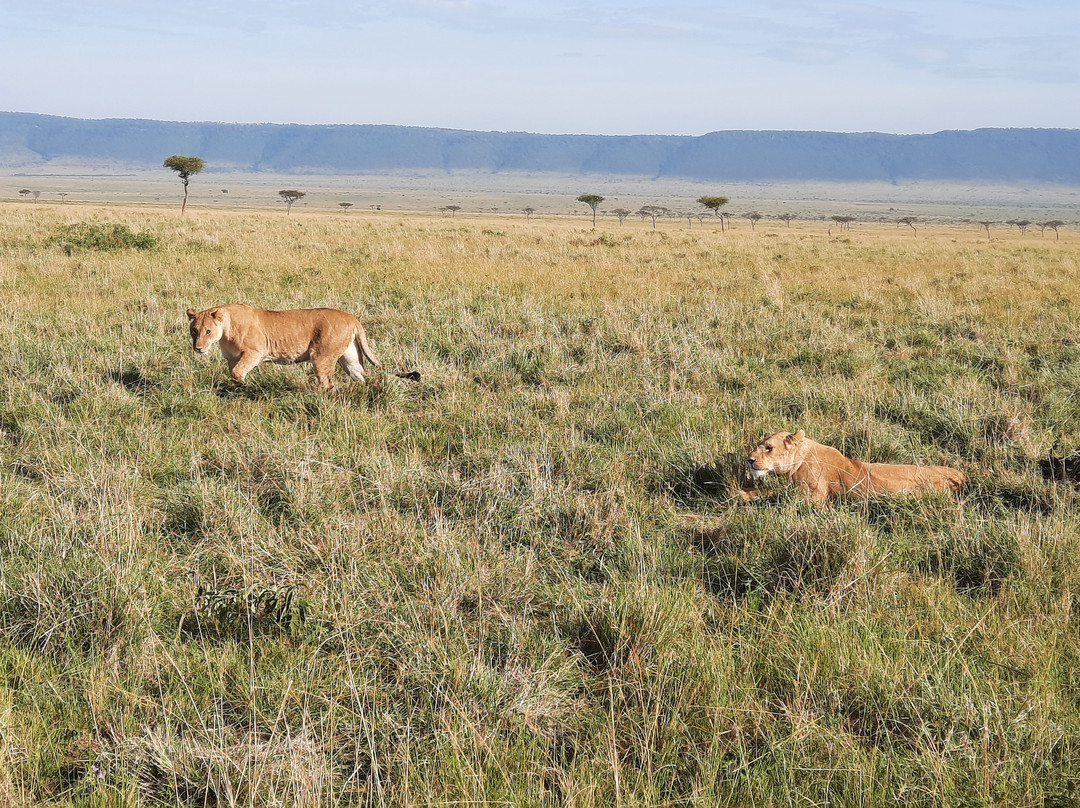 Big 5 Africa Tours-Bobingen必去景点