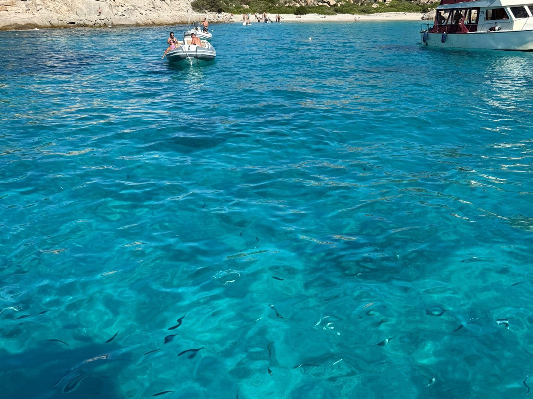 Faber Escursioni-La Maddalena必去景点