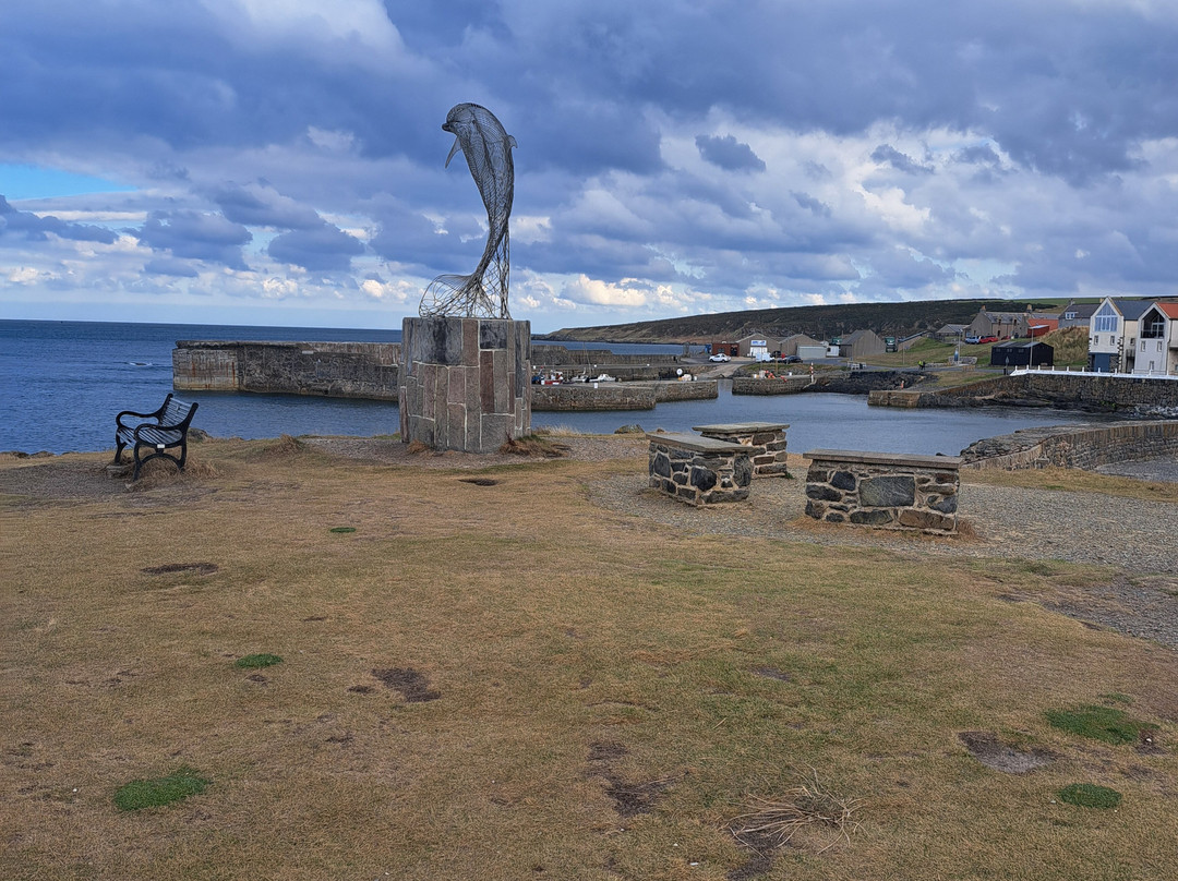 Portsoy Harbour-Portsoy必去景点