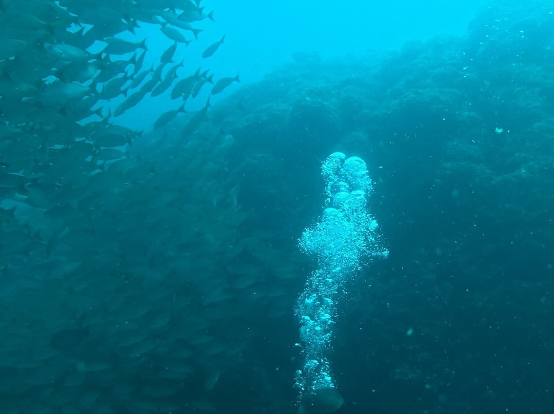 Scuba Tamarindo-塔马林多必去景点