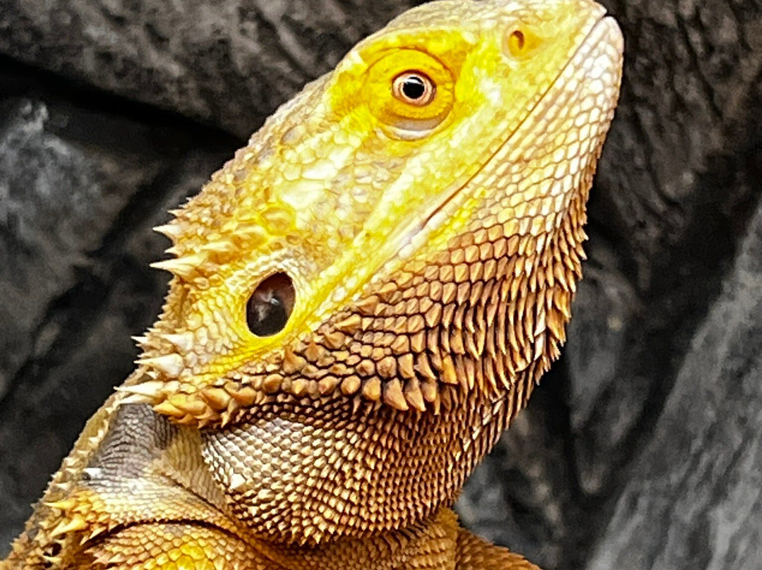 SEA LIFE Hunstanton-Hunstanton必去景点