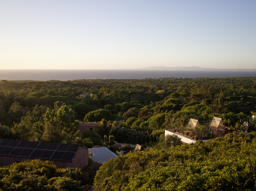 Villa Epicurea主图