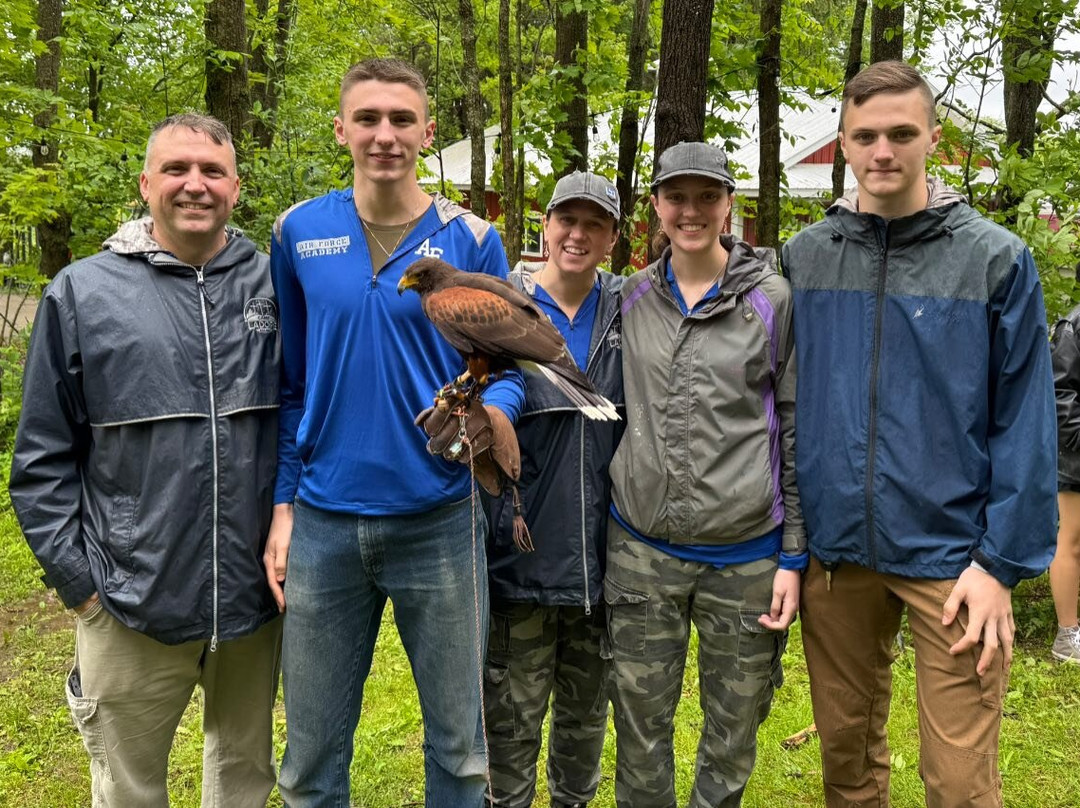 Falconry Excursions