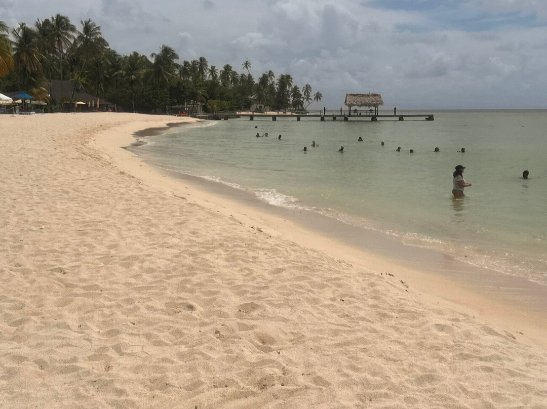 Island Man Tours-克朗波因特必去景点