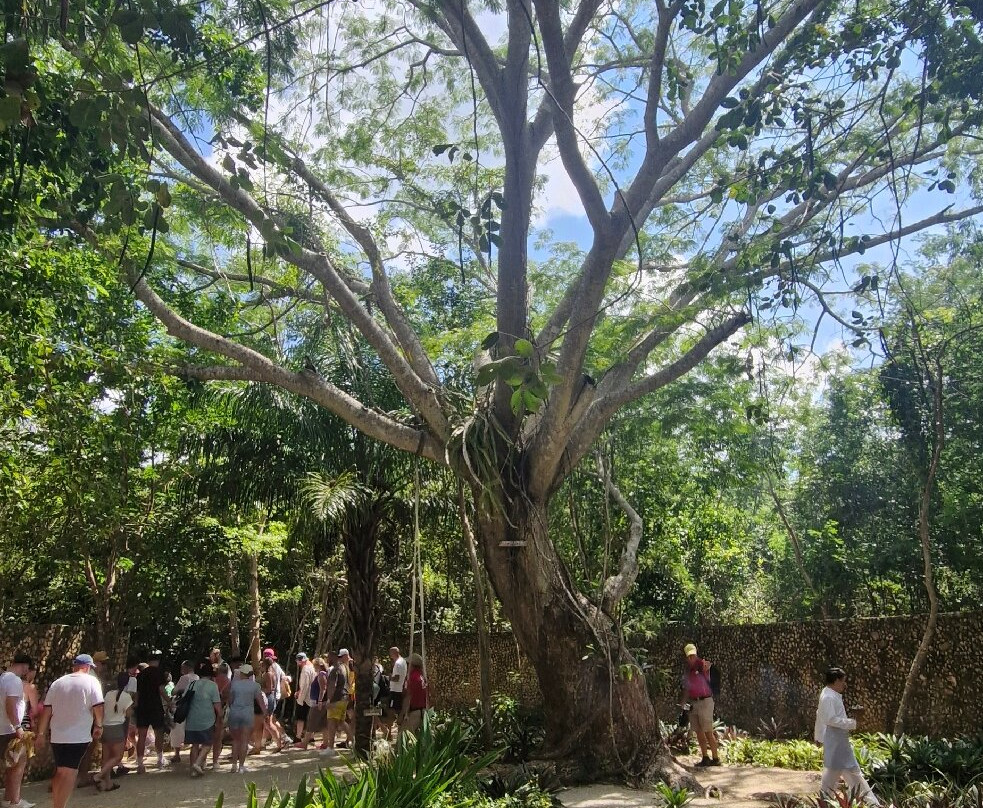 Xichen by Xcaret-奇琴伊察必去景点