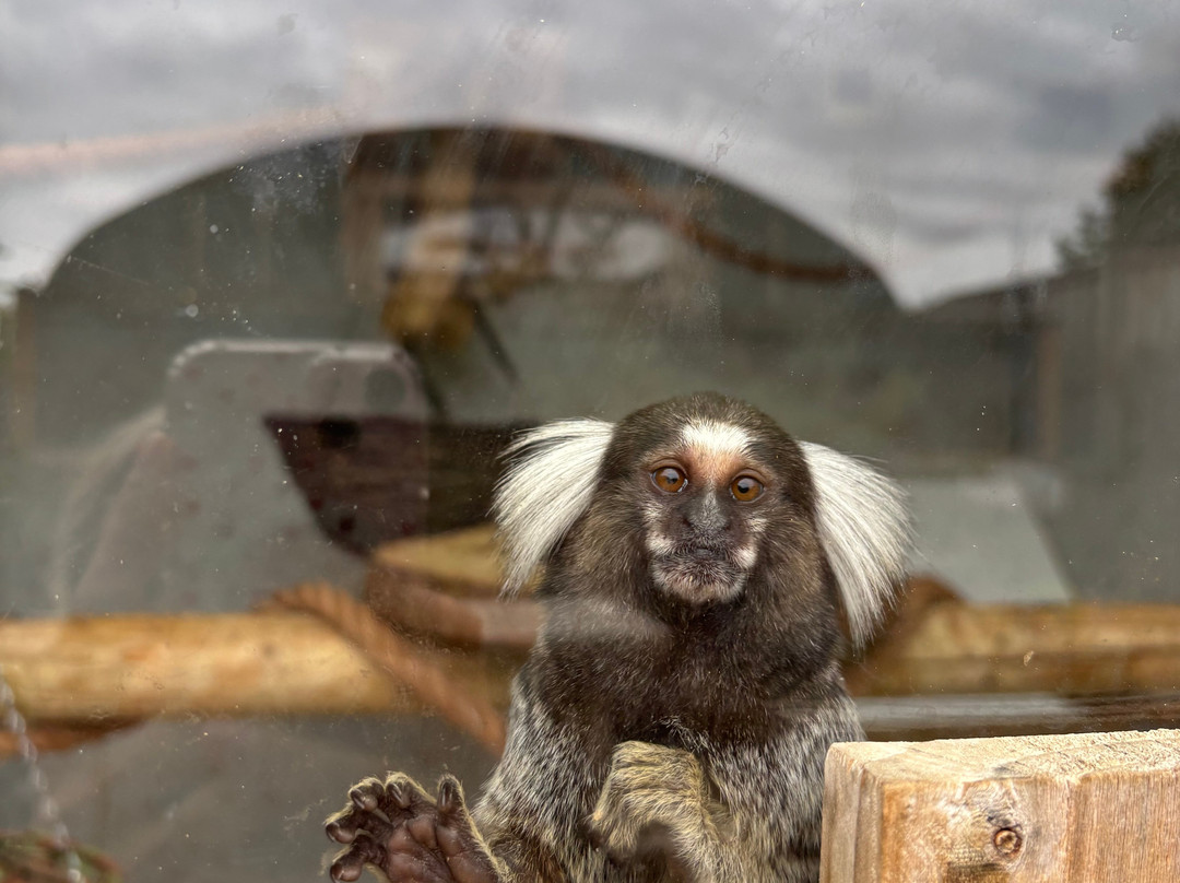 Millets Farm Centre-弗里福德希斯必去景点