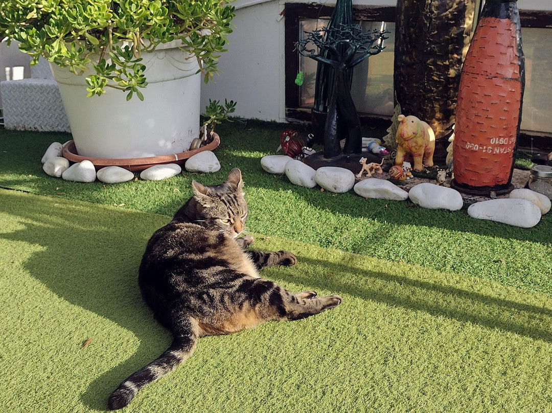 Bateau Mariance主图