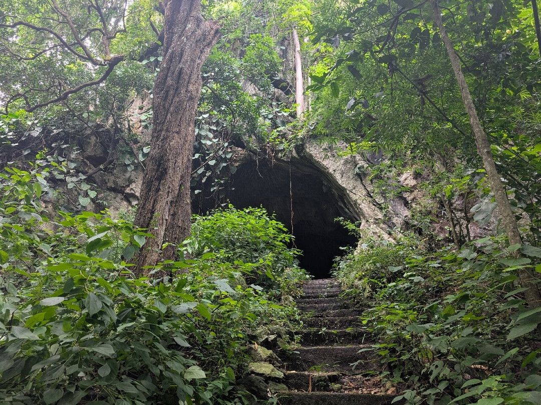 拉比昂帕萨克树屋度假村主图