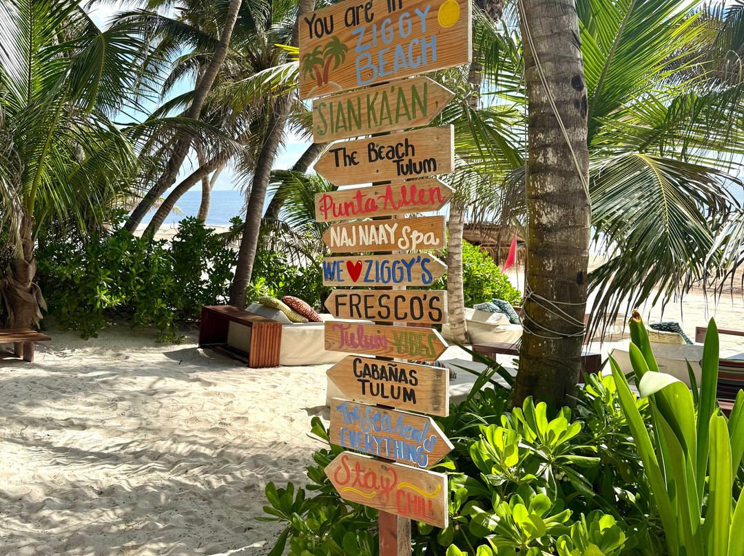 Ziggy’s Beach Club-图伦必去景点