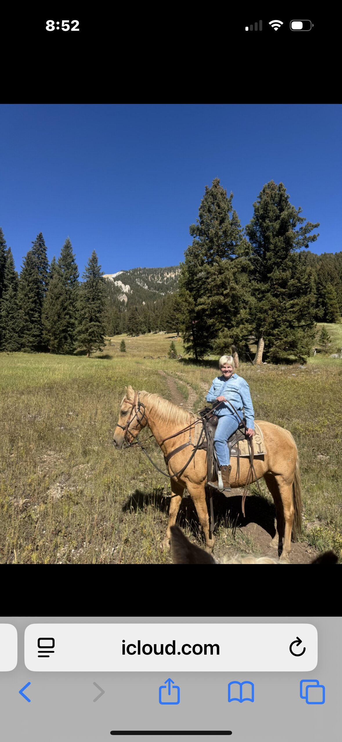Lone Mountain Ranch-官方