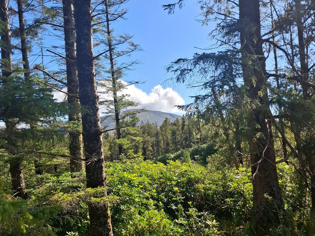 Letterkeen Loop Walk-Newport必去景点