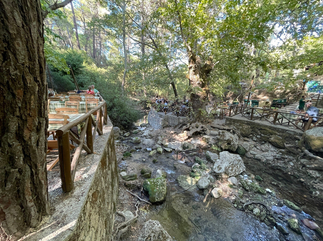 Seven Springs Tunnel