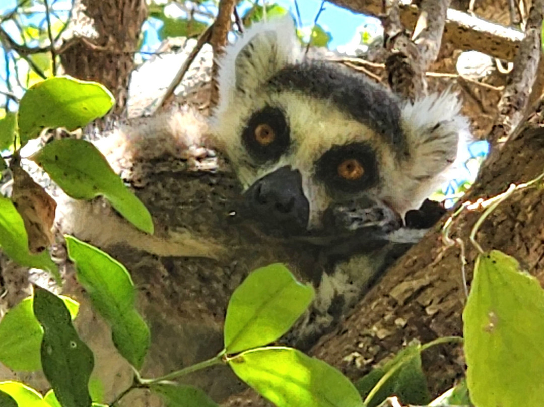 Soul of Madagascar Tours-Toamasina (Tamatave)必去景点