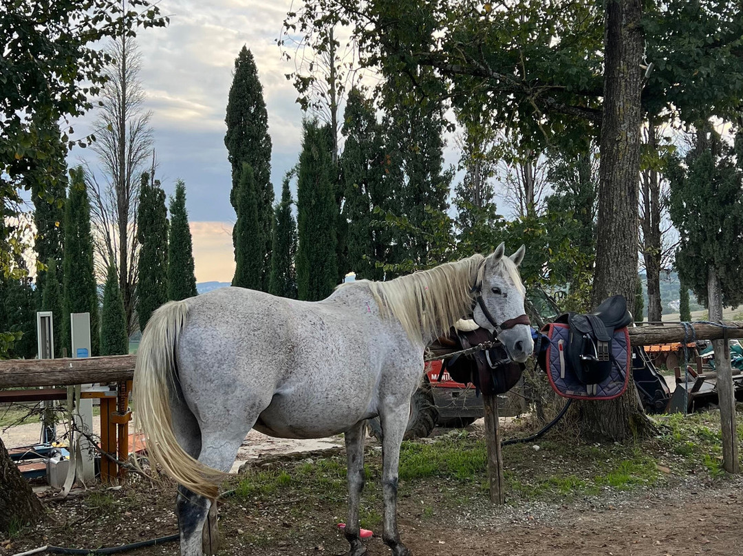 Centro turismo equestre La Chiusafarina-锡耶纳必去景点