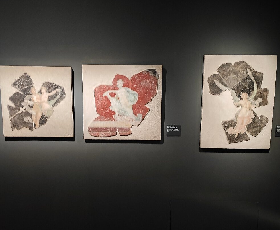 Museo archeologico di Stabiae "Libero D’Orsi"-斯塔比亚海堡必去景点