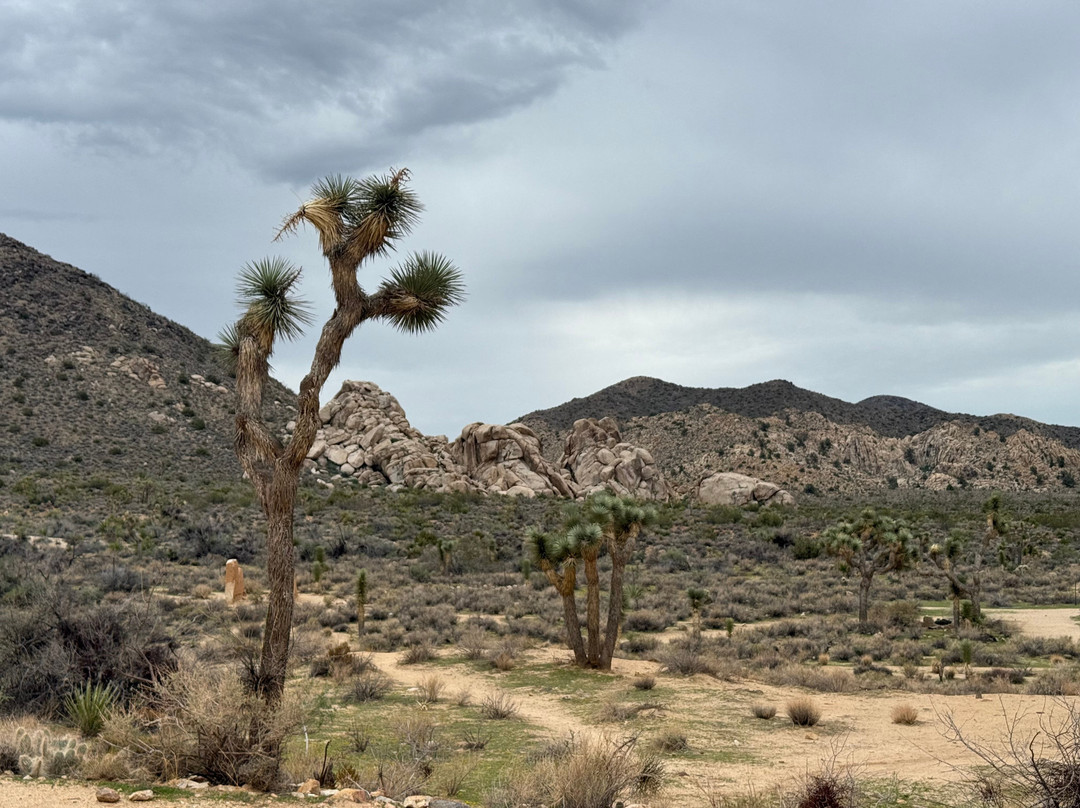 隐身谷-约书亚树国家公园必去景点