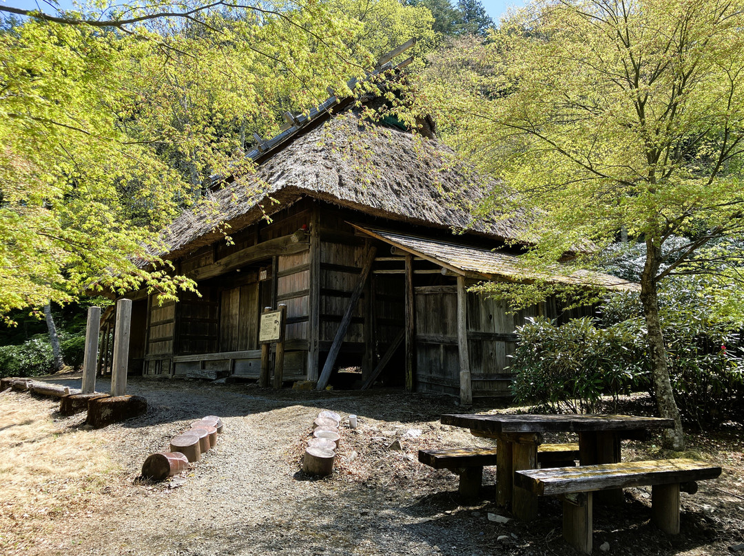 Mitsumine Shrine-秩父市必去景点