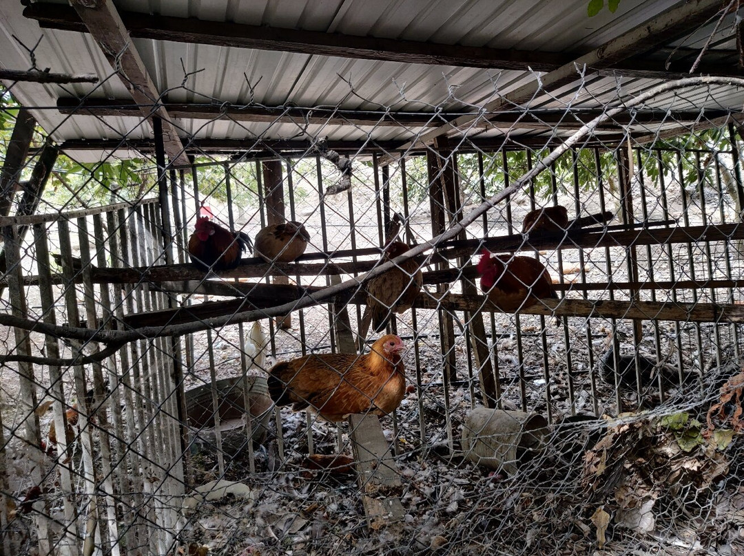 Green Valley Waterfalls-Trimiklini必去景点