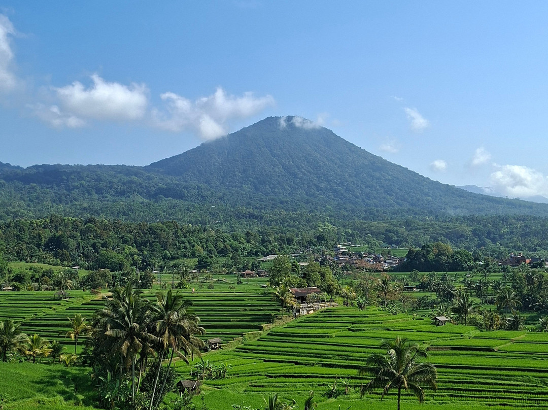 Jatiluwih Cycling & E-bike Tours With Bali By Pedals-达巴南必去景点