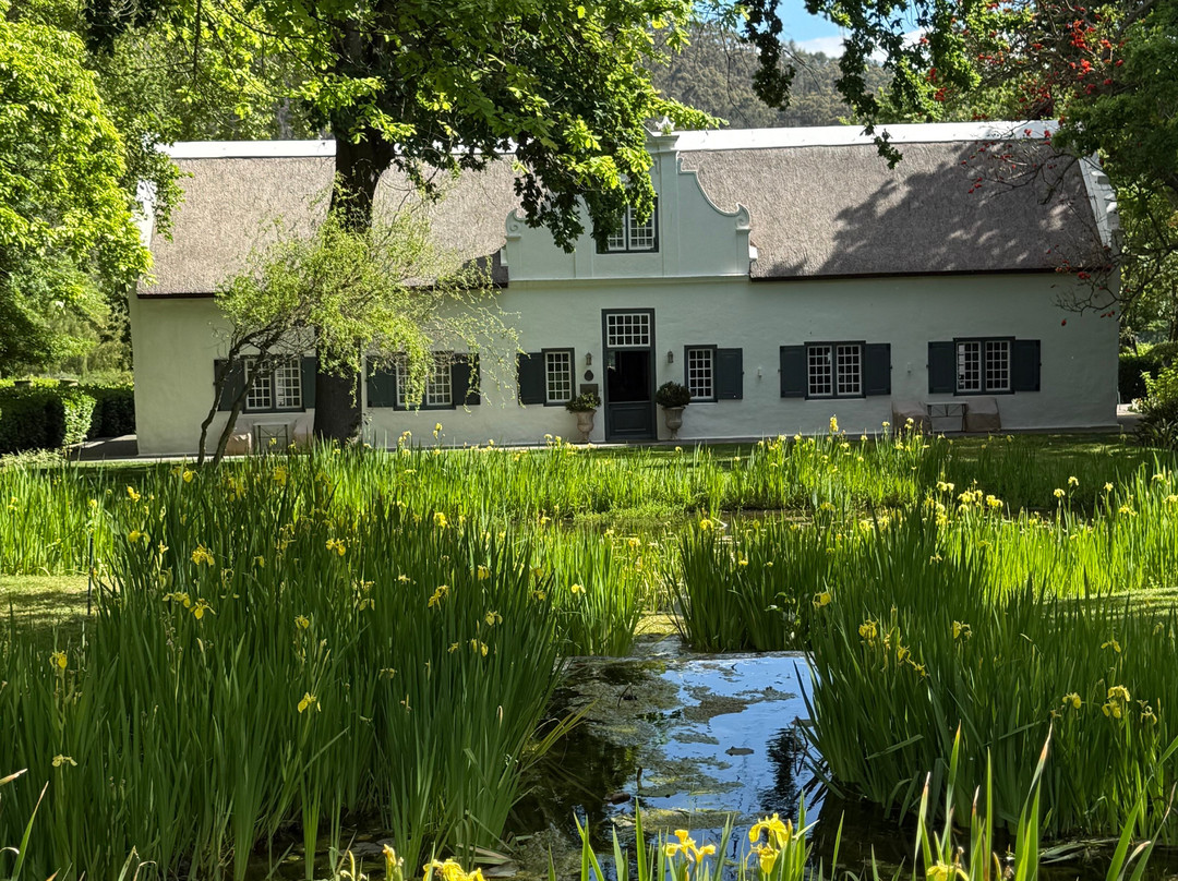 Grapes of Good Hope-开普敦必去景点