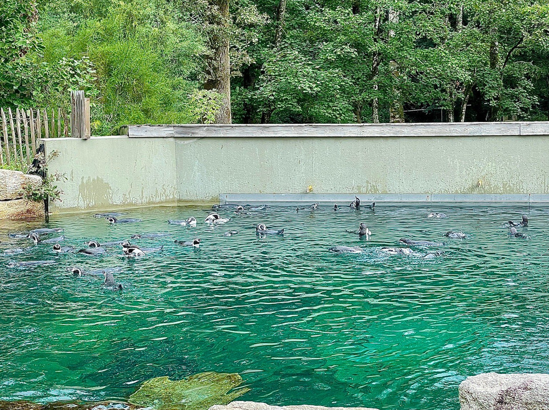 Parc Animalier et Botanique de Branféré-Le Guerno必去景点