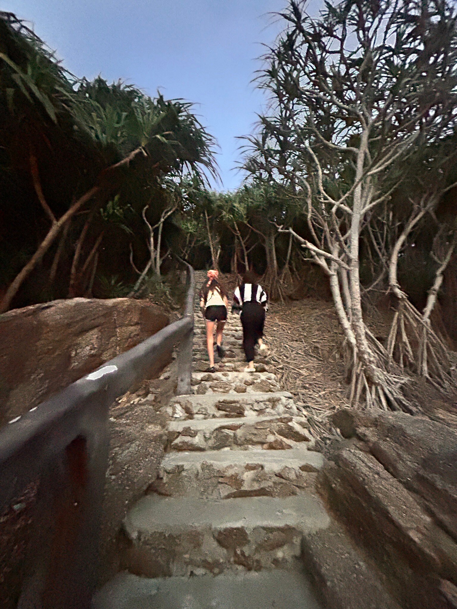 拉查岛瑞阿布瑞度假酒店-官方