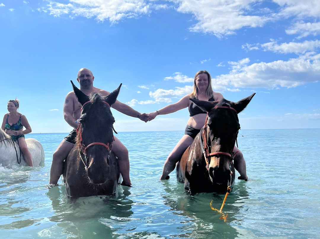 Laganas Horse Riding Center-扎金索斯必去景点