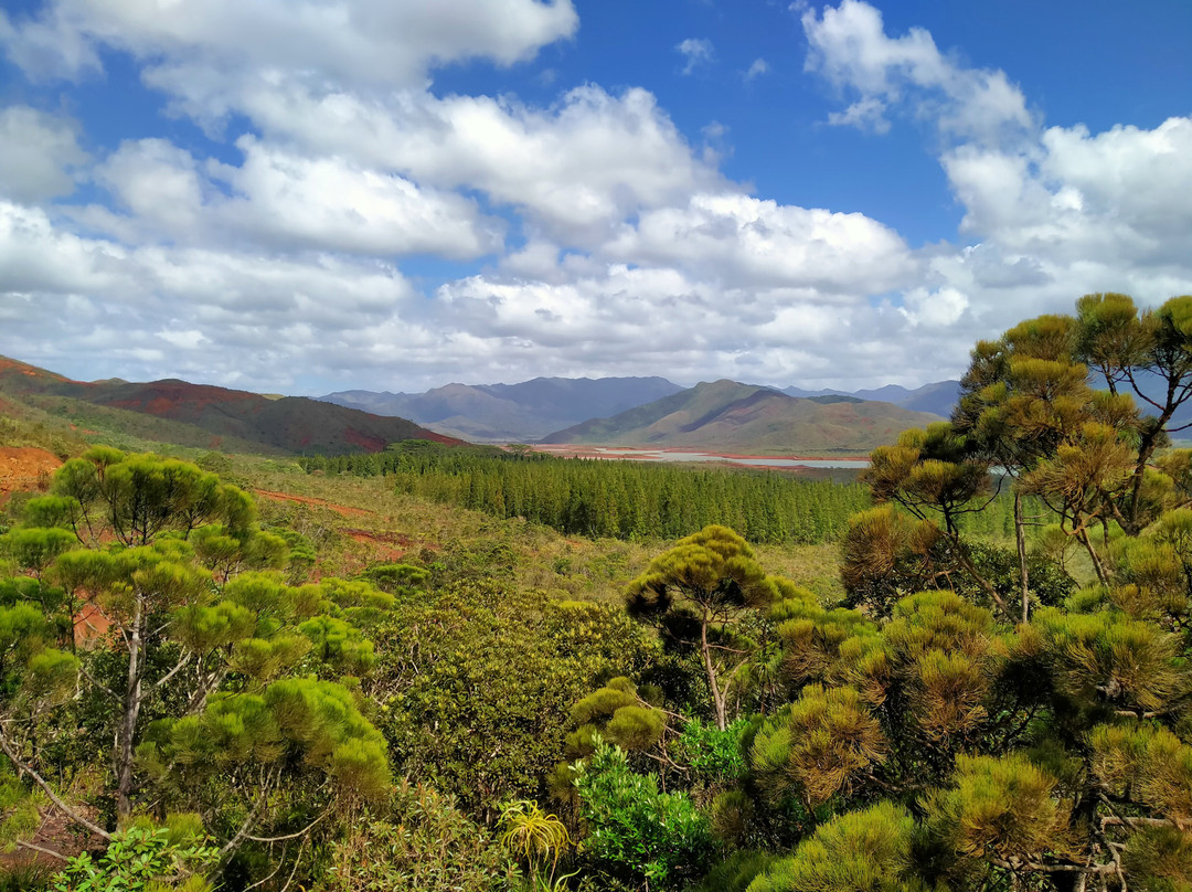 Toutazimut-努美阿必去景点