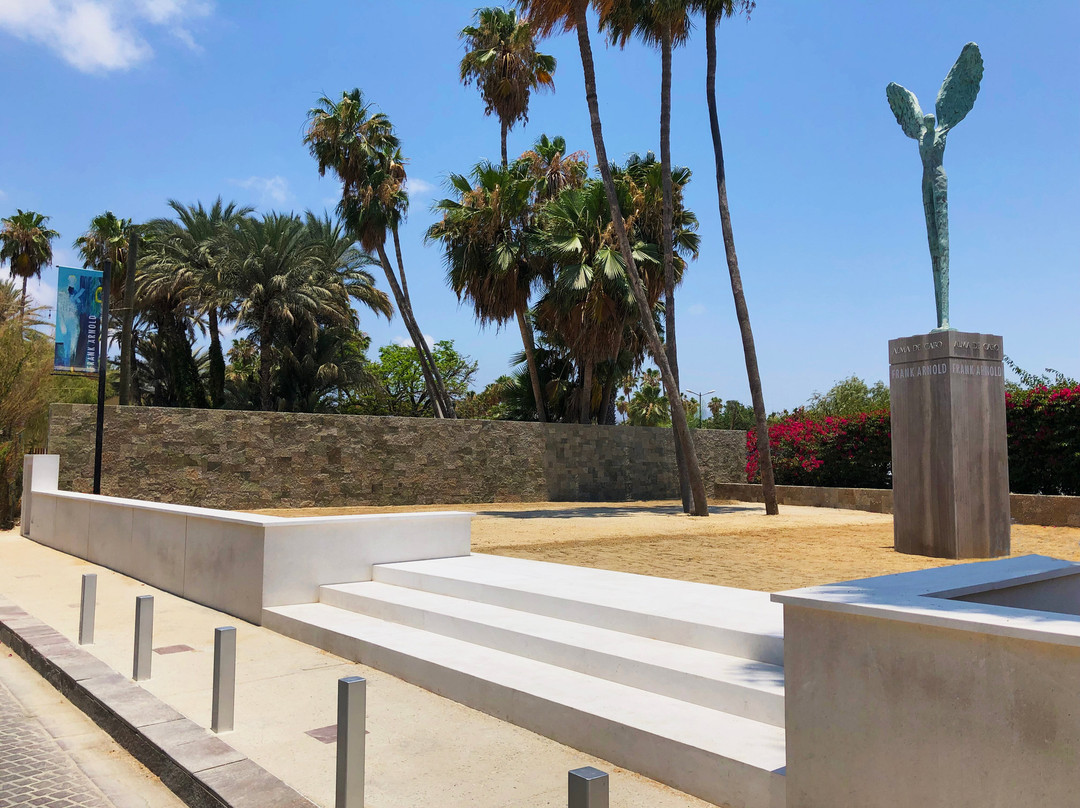 Frank Arnold Gallery-圣何塞卡波必去景点