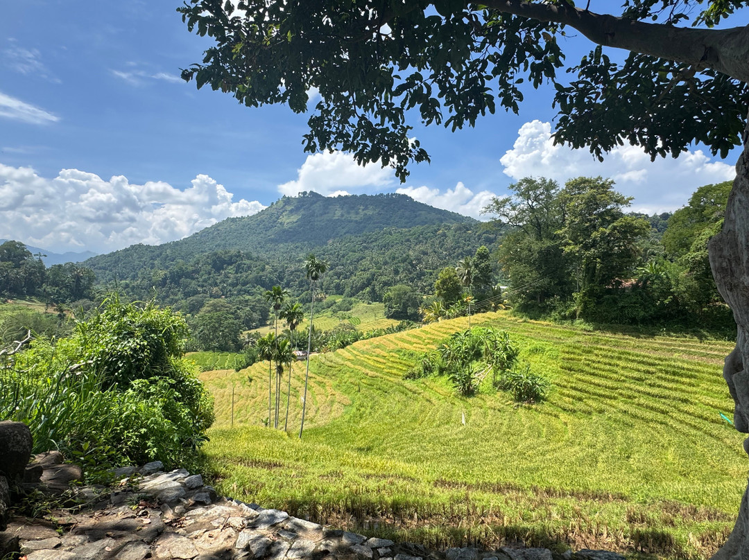 Nipuna Knuckles Trekking-康提必去景点